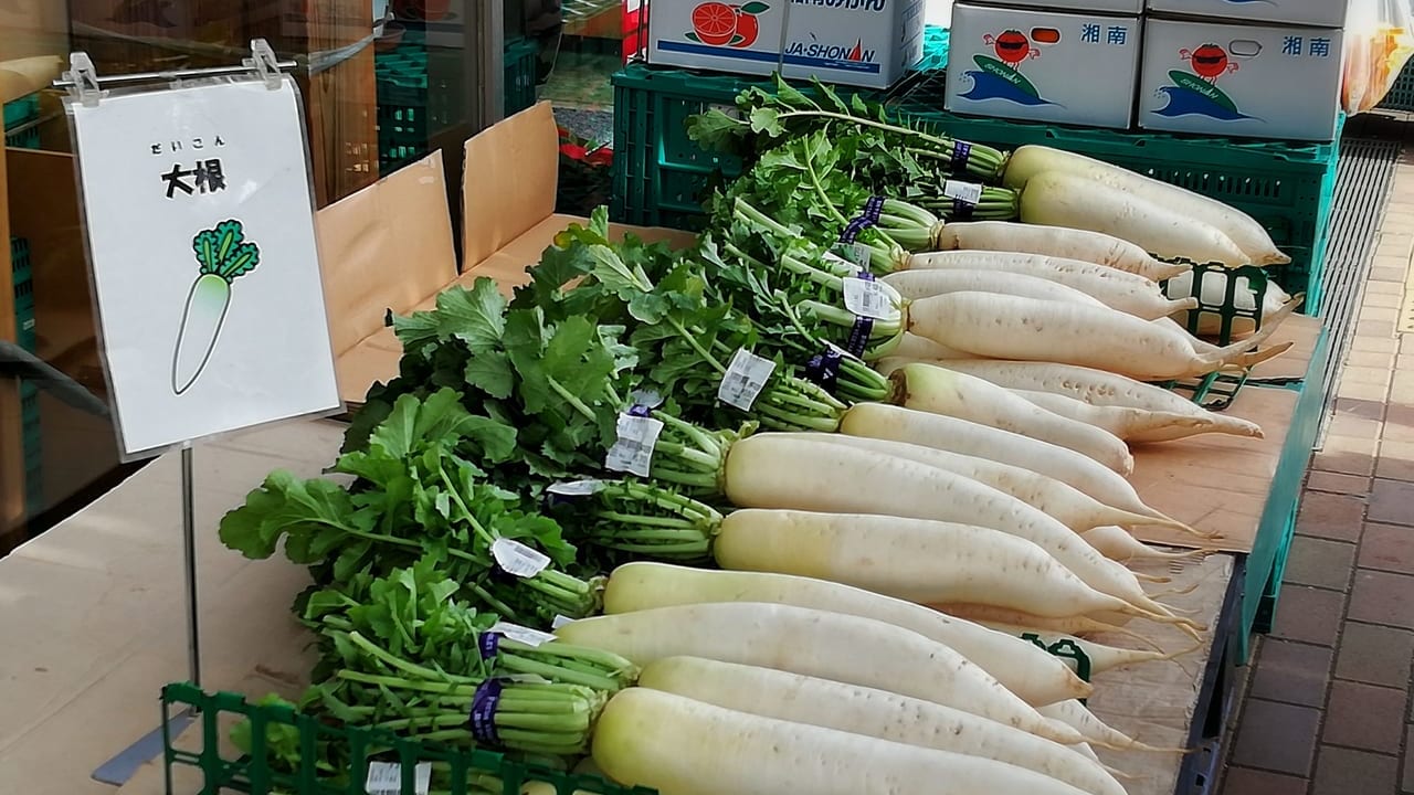 新鮮な地産の冬野菜がたくさん並ぶ「あさつゆ広場」