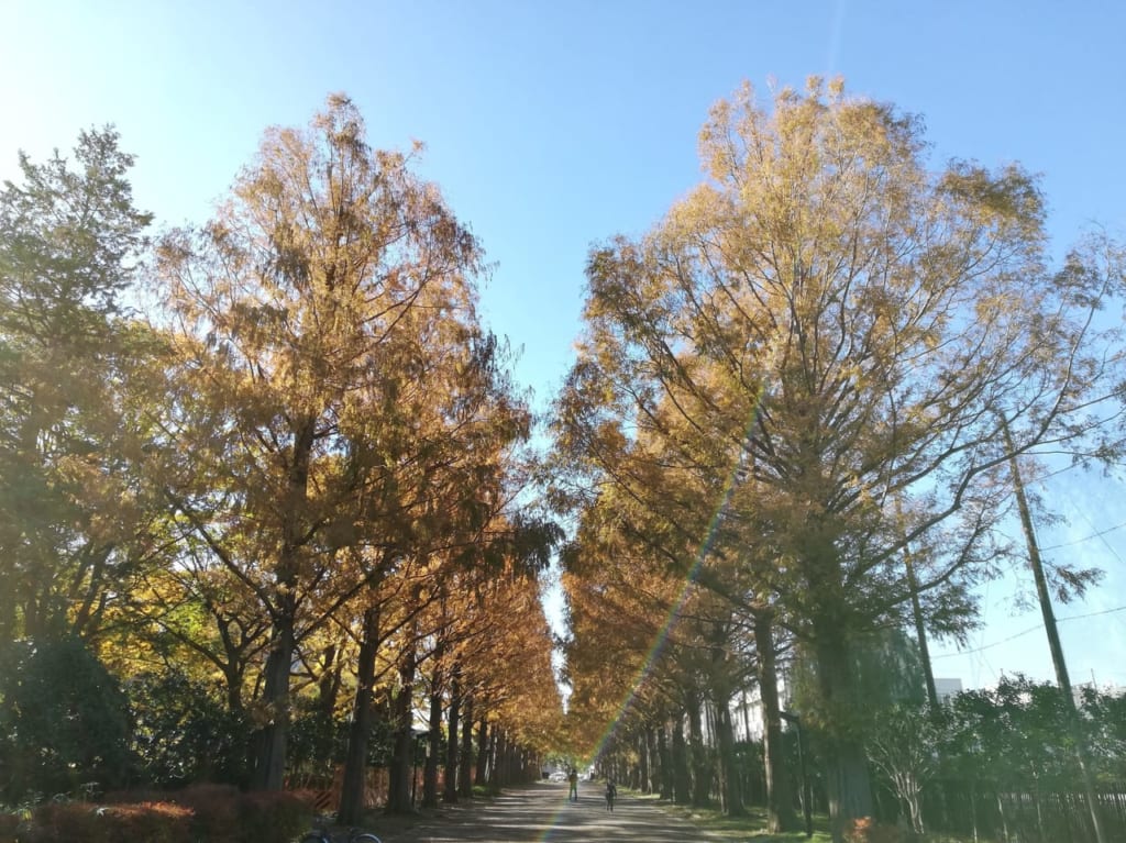 「湘南ひらつか観光風景写真コンクール」などから選出した平塚市の観光名所満載の「観光カレンダー」発売中！
