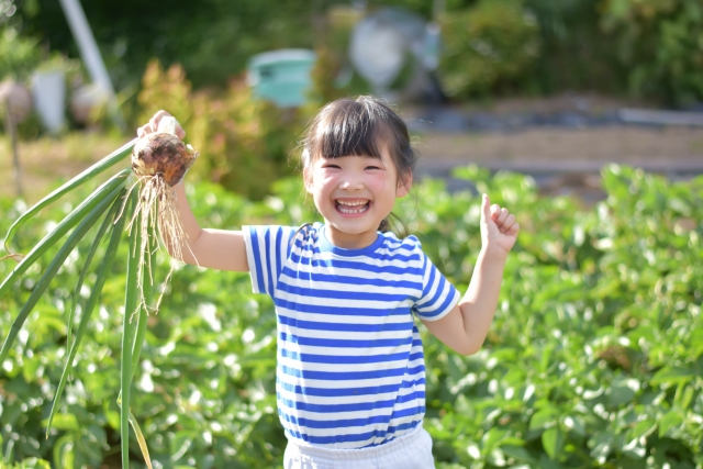 11月は農業体験とローズじゃむ作り！「まちまるごと学び舎構想」のプログラムで平塚市の魅力を再発見してみませんか？