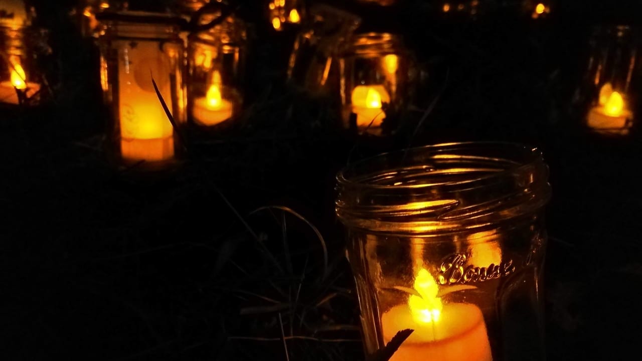 竹灯籠や空き瓶キャンドルの幻想的な光の祭典！馬入水辺の楽校で「ともしびの夕べ」が開催されます！