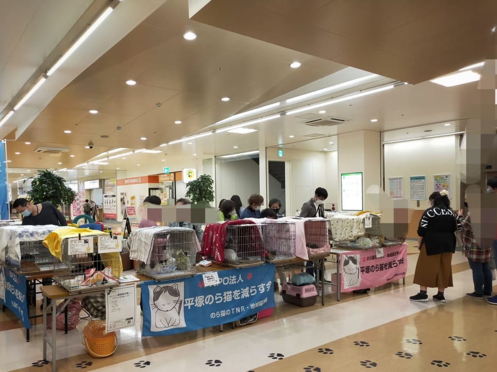 ＮＰＯ法人 平塚のら猫を減らす会主催の保護猫譲渡会に行ってきました。