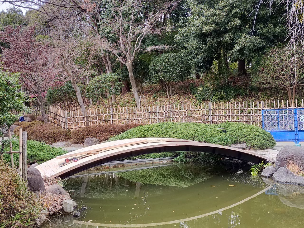 平塚市総合公園内随一のインスタ映えスポット。日本庭園の太鼓橋は工事中です。