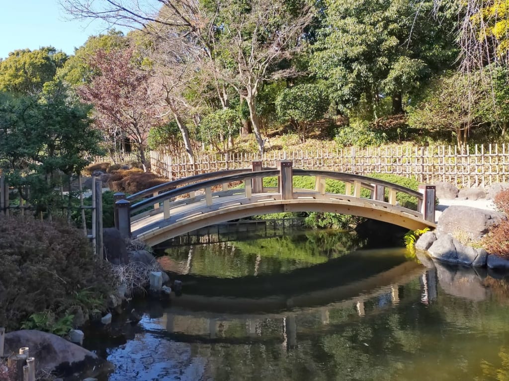 平塚市総合公園内、日本庭園の太鼓橋がリニューアルされました！