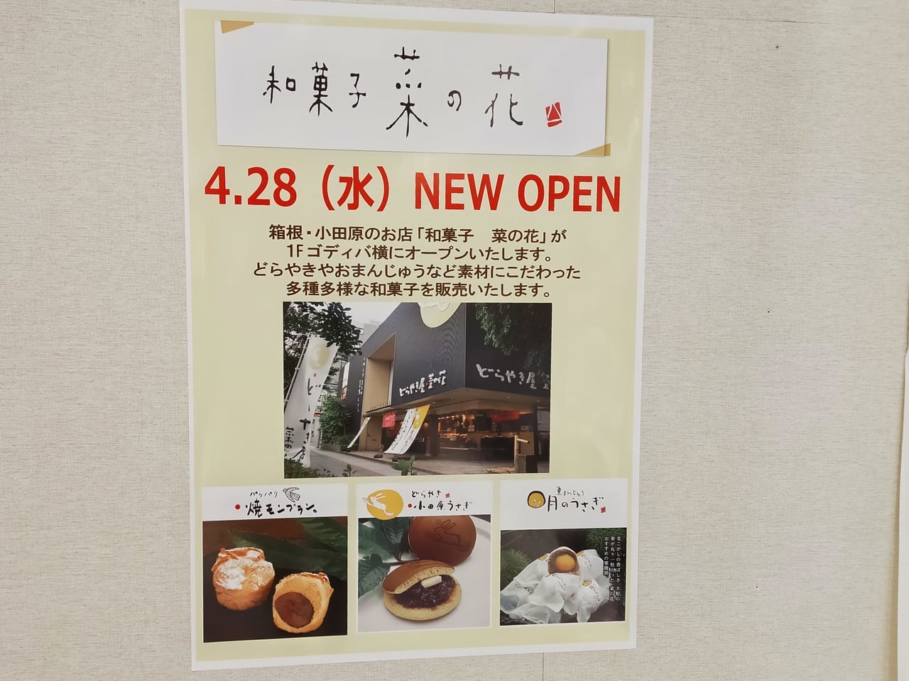 小田原や箱根のお土産でおなじみ！和菓子「菜の花」が4月28日（水）、ラスカ平塚１Fにオープンします！