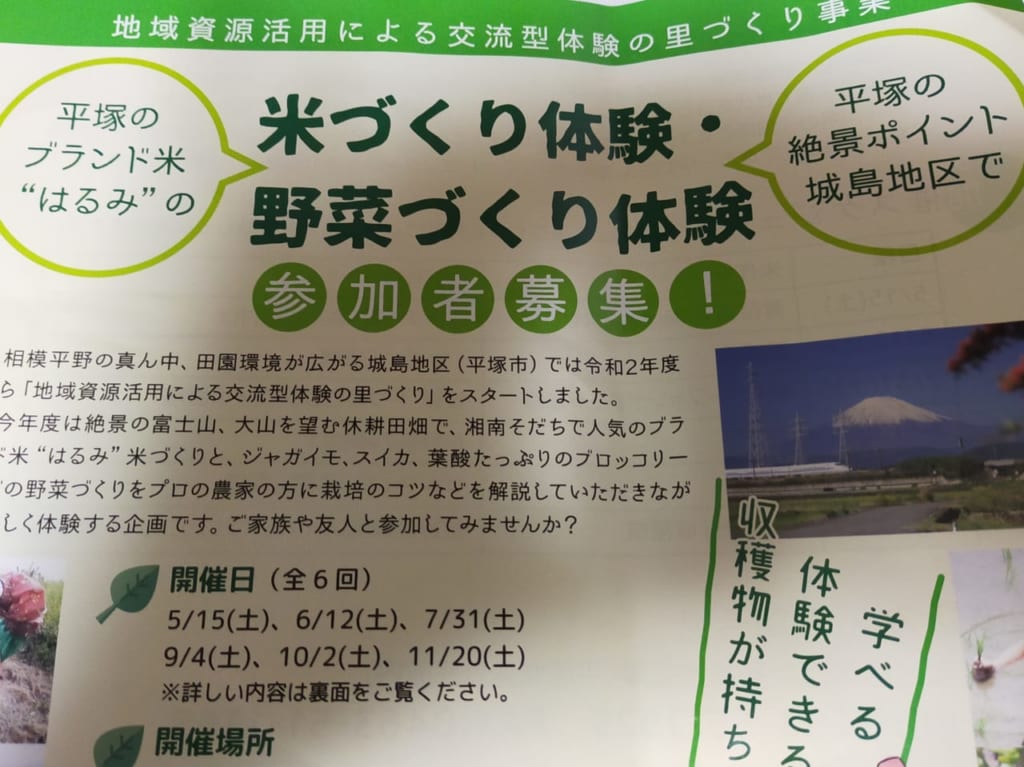 「米づくり体験」・「野菜づくり体験」参加者募集！収穫物はお持ち帰りできます！
