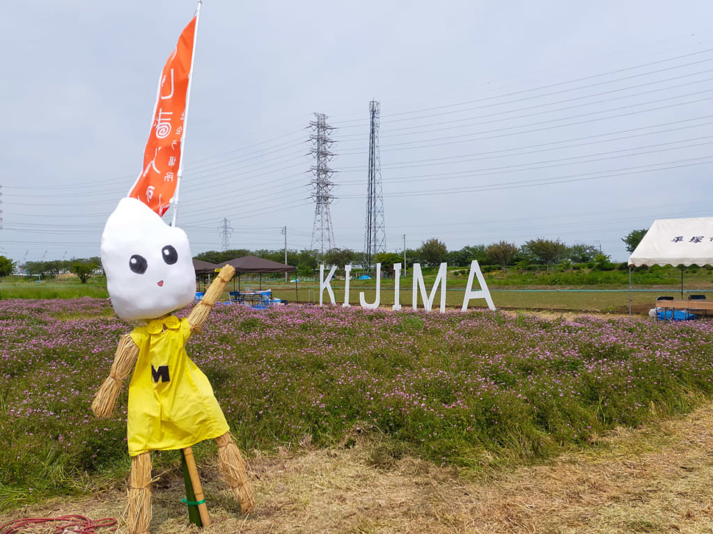 「地域資源活用による交流型体験の里づくり」のキックオフイベント「きじまルシェ」に行ってきました！