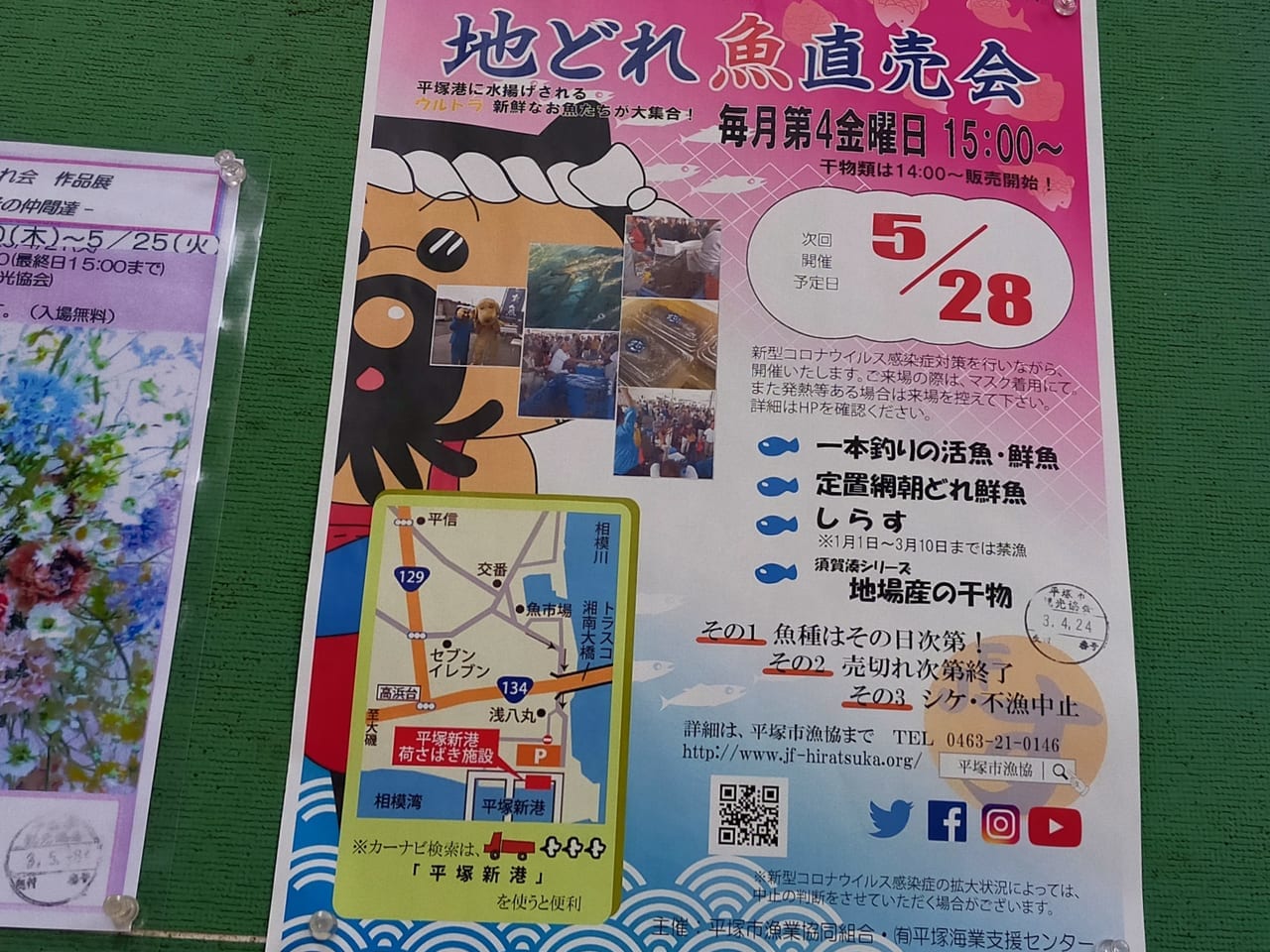 5月28日（金）平塚新港で「湘南ひらつか地どれ魚直売会」が開催されます！