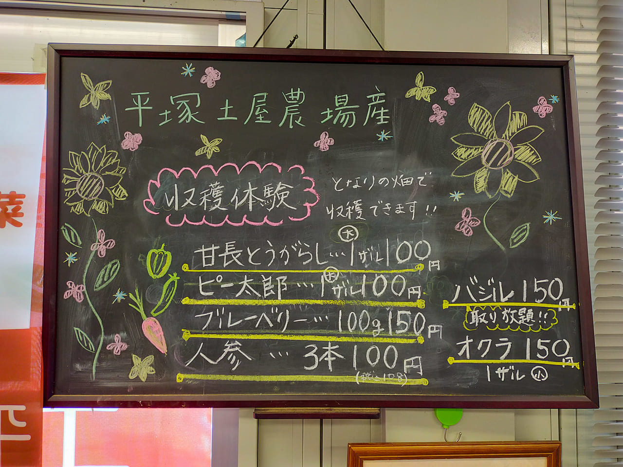 「平塚土屋の直売所」で新鮮野菜の収穫体験をしてみませんか？