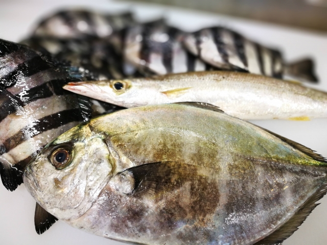 8月27日（金）に開催予定だった「地どれ魚直売会」は中止になりました。