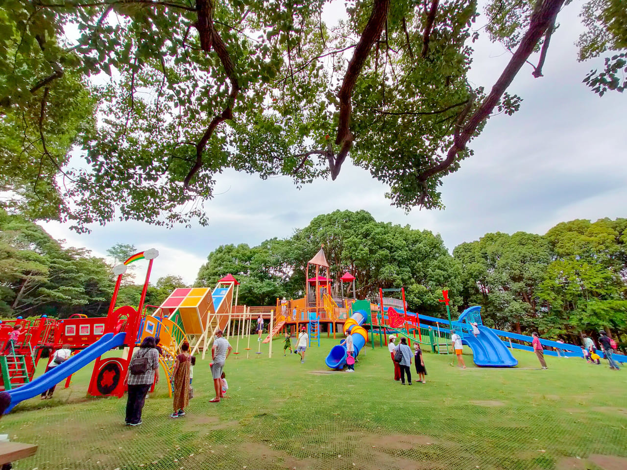 30周年を迎える平塚市総合公園。子供たちに人気のリニューアルスポットはこちら！