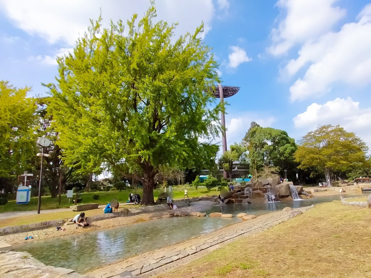 平塚市総合公園のジャブジャブ池が再開されたようです！