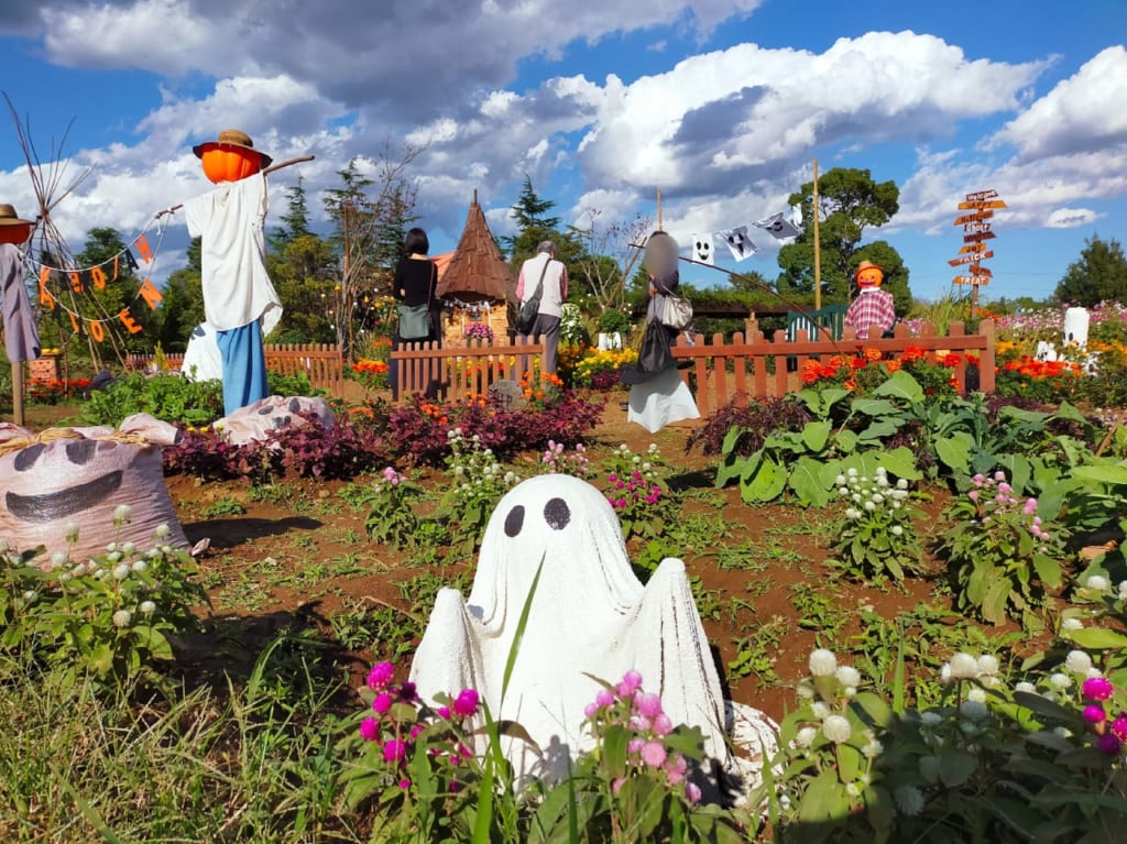 花菜ガーデンで「畑のハロウィーンパーティー♪」を開催中！