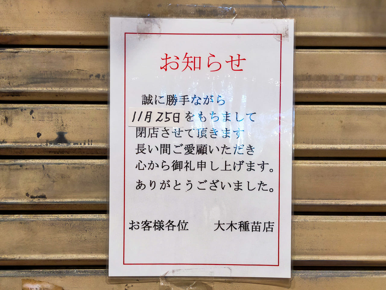 湘南スターモール商店街にある「大木種苗店」が11月25日（木）に閉店します。
