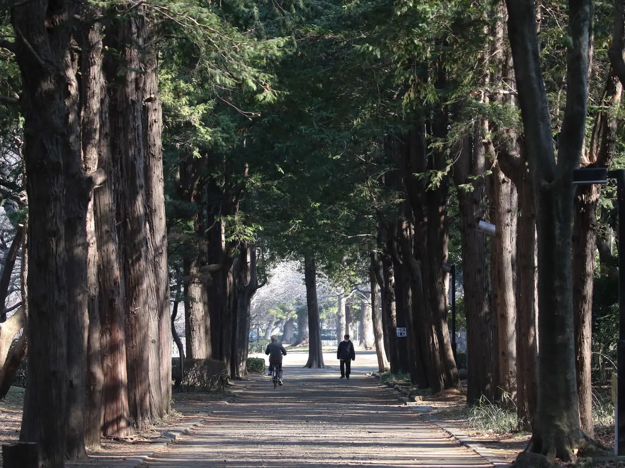 1月21日(金)からオンエア中のアフラックのTVCMは平塚市総合公園で撮影されたようです!