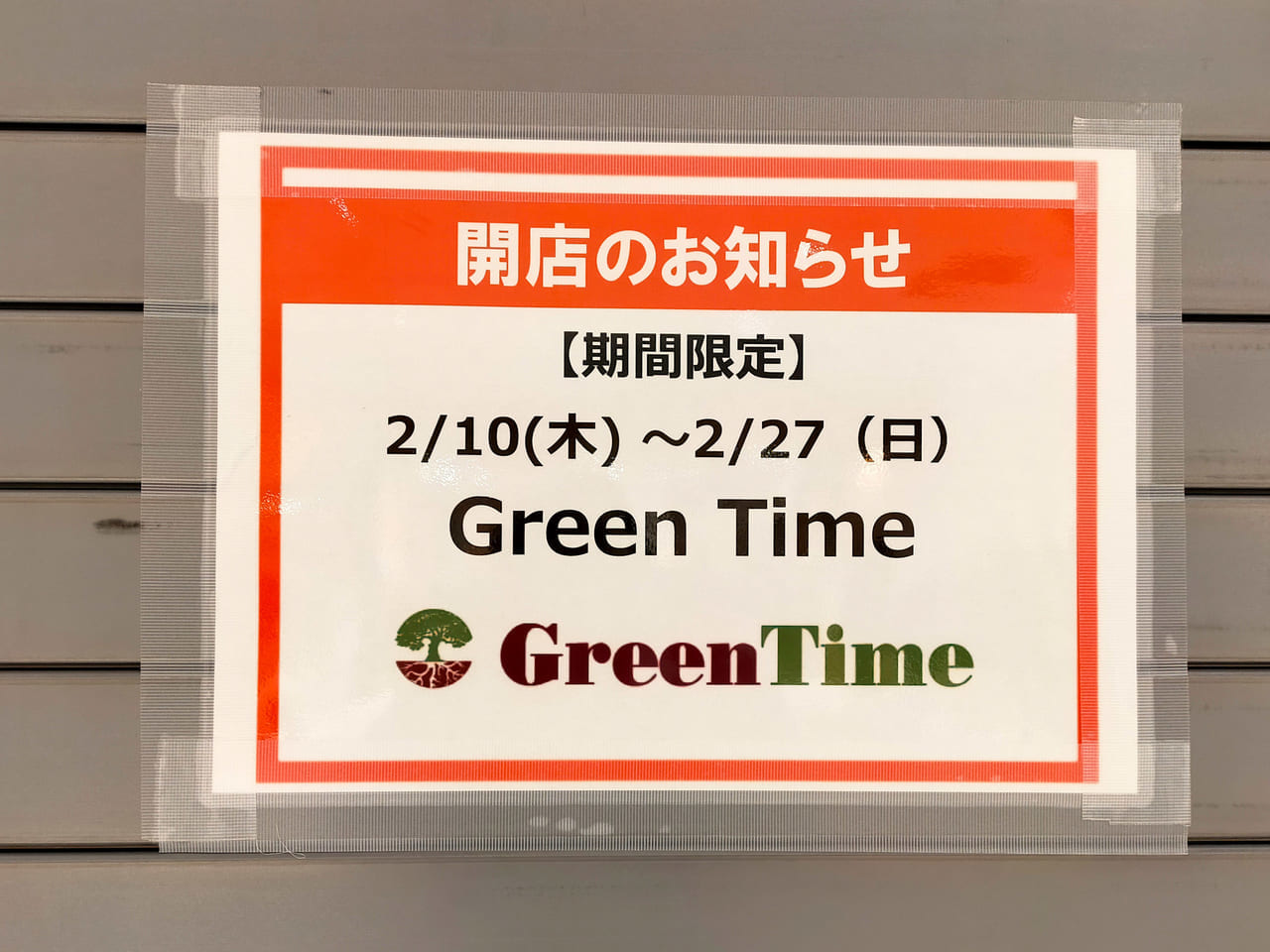 ららぽーと湘南平塚にイタリアの木製腕時計ブランド「Green Time」が期間限定でオープンします！