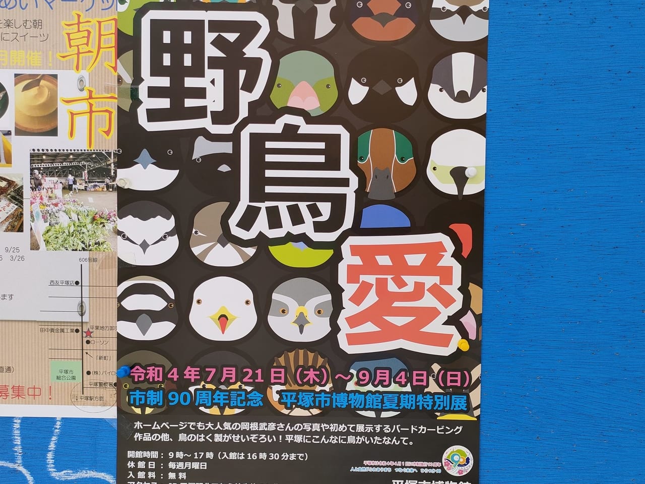 平塚市博物館で市制90周年記念 夏期特別展「野鳥愛」が7月21日（木）から開催されます！
