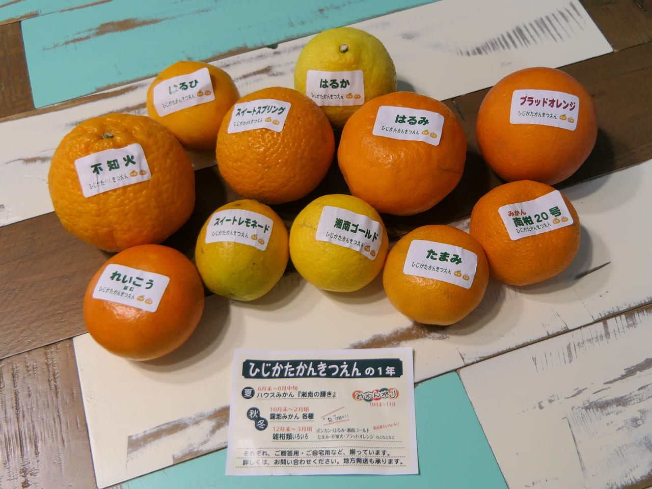 いろいろな柑橘が入ってお得！柑橘ソムリエのいる「ひじかたかんきつえん」の人気商品「お楽しみ詰め合わせ袋」をゲット！