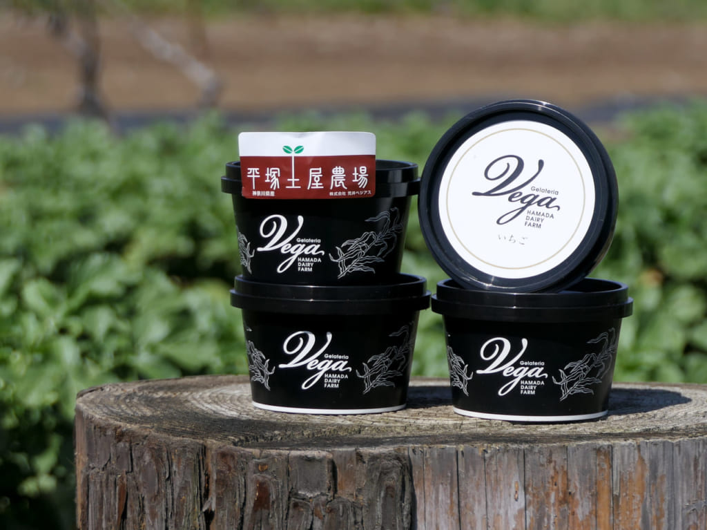 「平塚土屋の直売所」限定販売！あの人気ジェラート店「Gelateria Vega（ジェラテリアベガ）」とのコラボ商品、完熟イチゴのジェラートが3月18日（土）から販売されます！