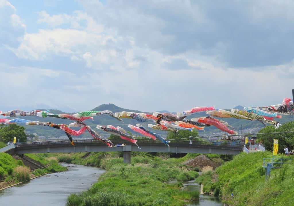 「第17回鈴川鯉のぼりまつり」が5月3日(水・祝)～5日(金・祝)に開催されます！