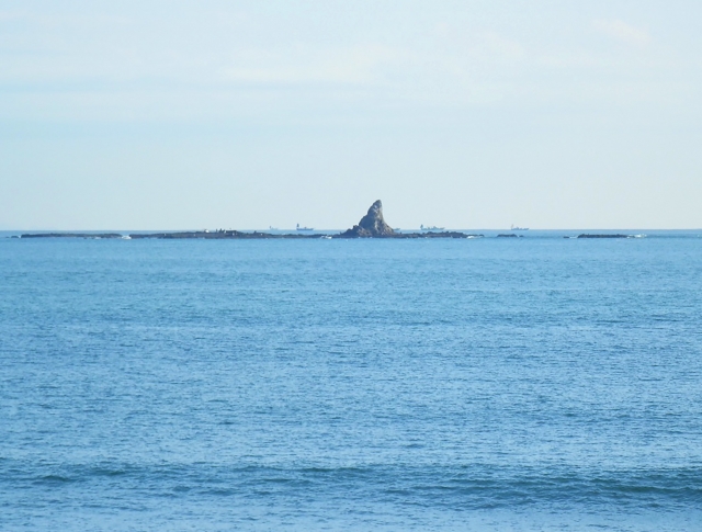 平塚海洋観測タワーや烏帽子岩も！6月24日（土）に開催される「ひらつかタマ三郎周遊船」への乗船者を募集しています！