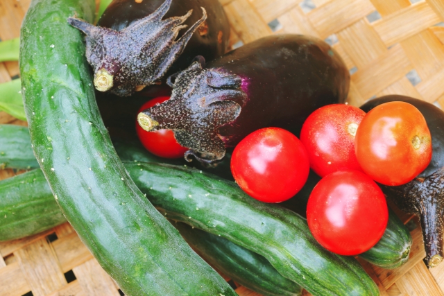 「平塚市生きがい事業団」会員が作った野菜、花、手芸品をお値打ち価格で販売！「生きがいマルシェ」が7月31日（月）に開催されます！