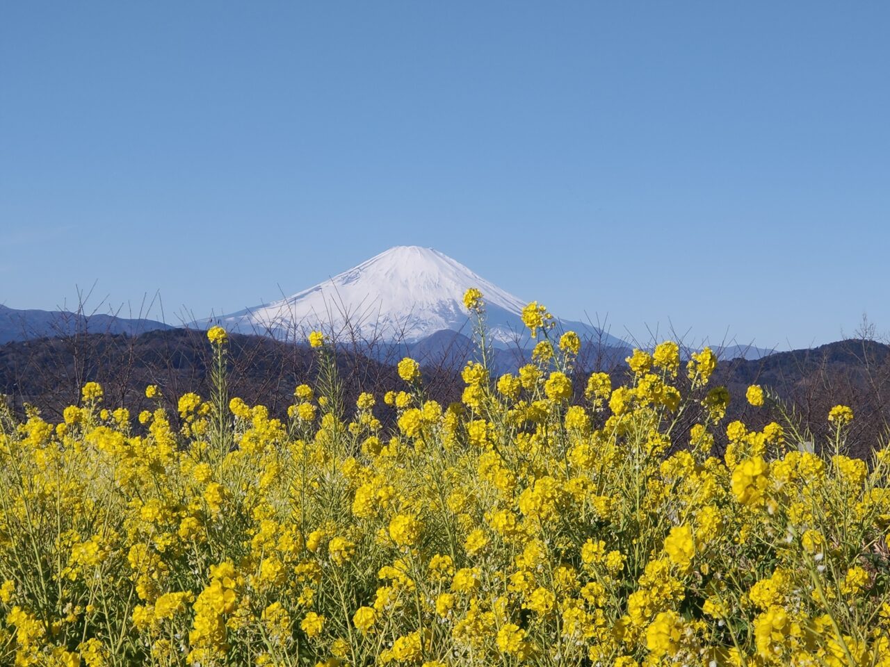 二宮吾妻山