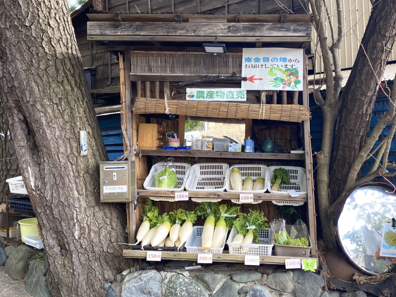 平塚市袖が浜野菜の無人販売