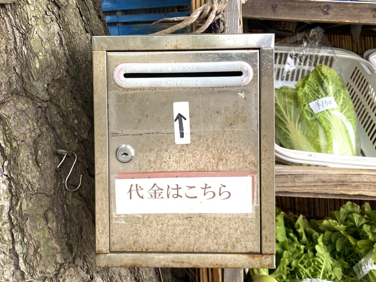 平塚市袖が浜野菜の無人販売
