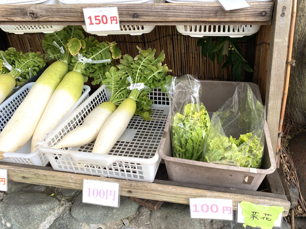平塚市袖が浜野菜の無人販売