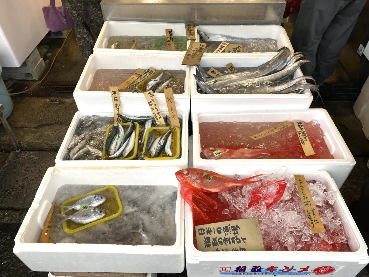 大磯町大磯魚金