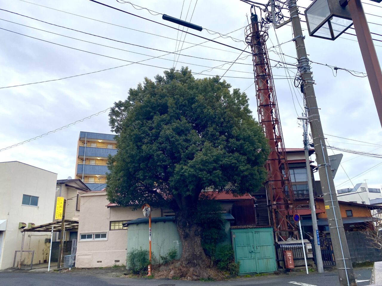 平塚市立野町よねの湯