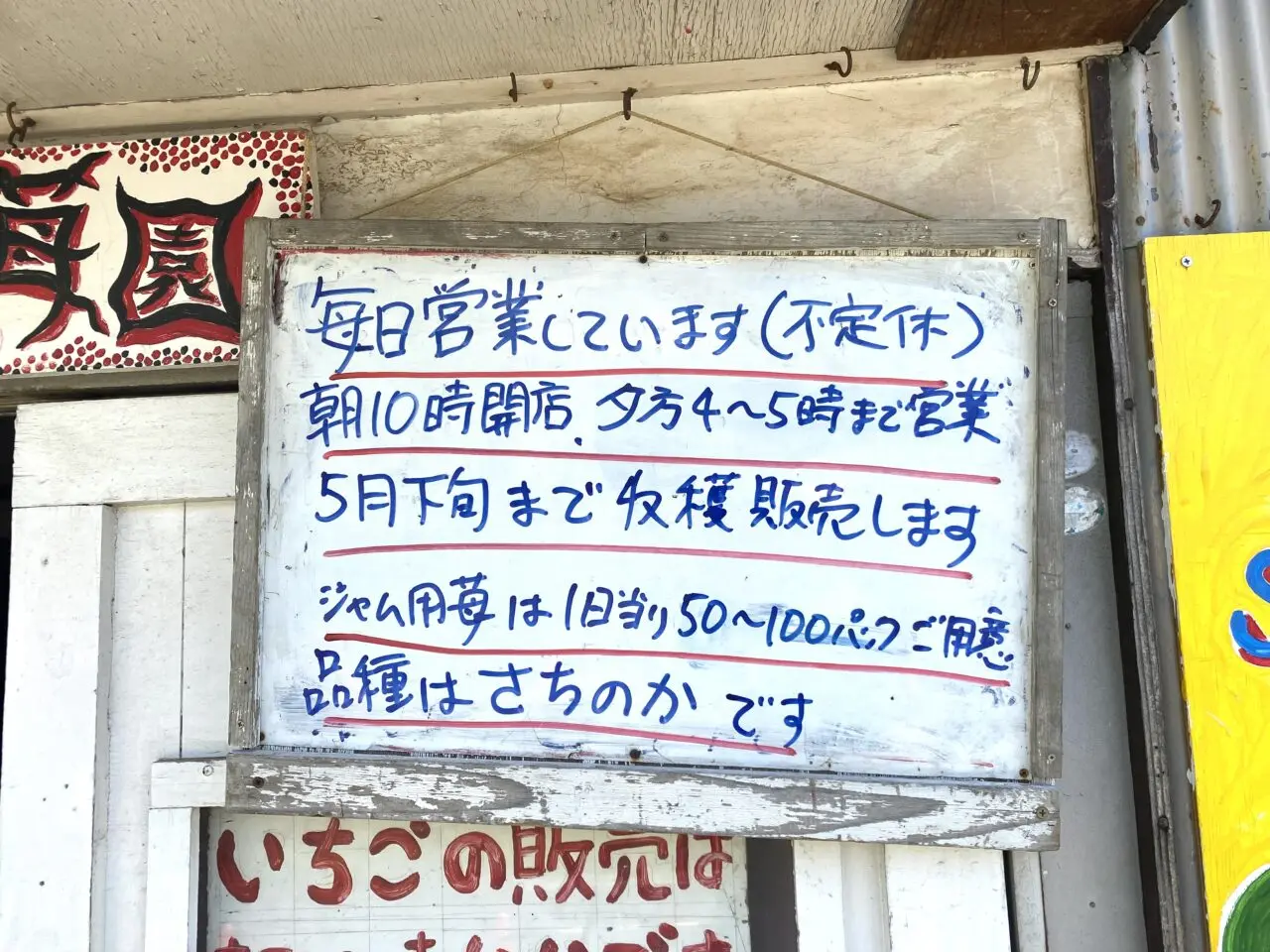 平塚市南豊田ベリコの不思議の苺園