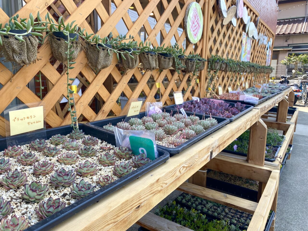 平塚市東八幡ぴょっこりぃな