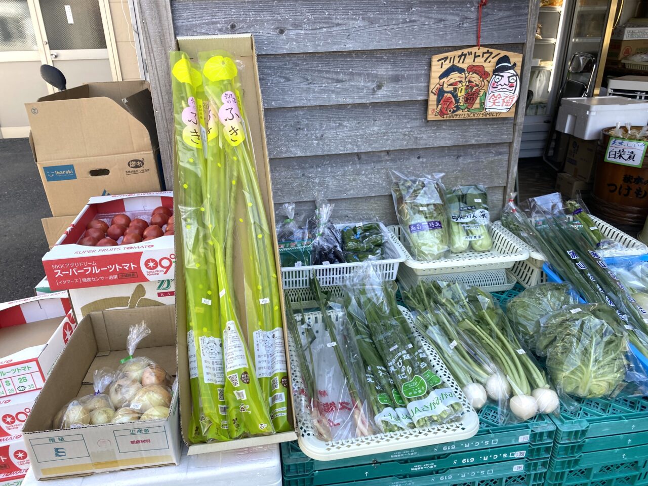 大磯町大磯いろどりや