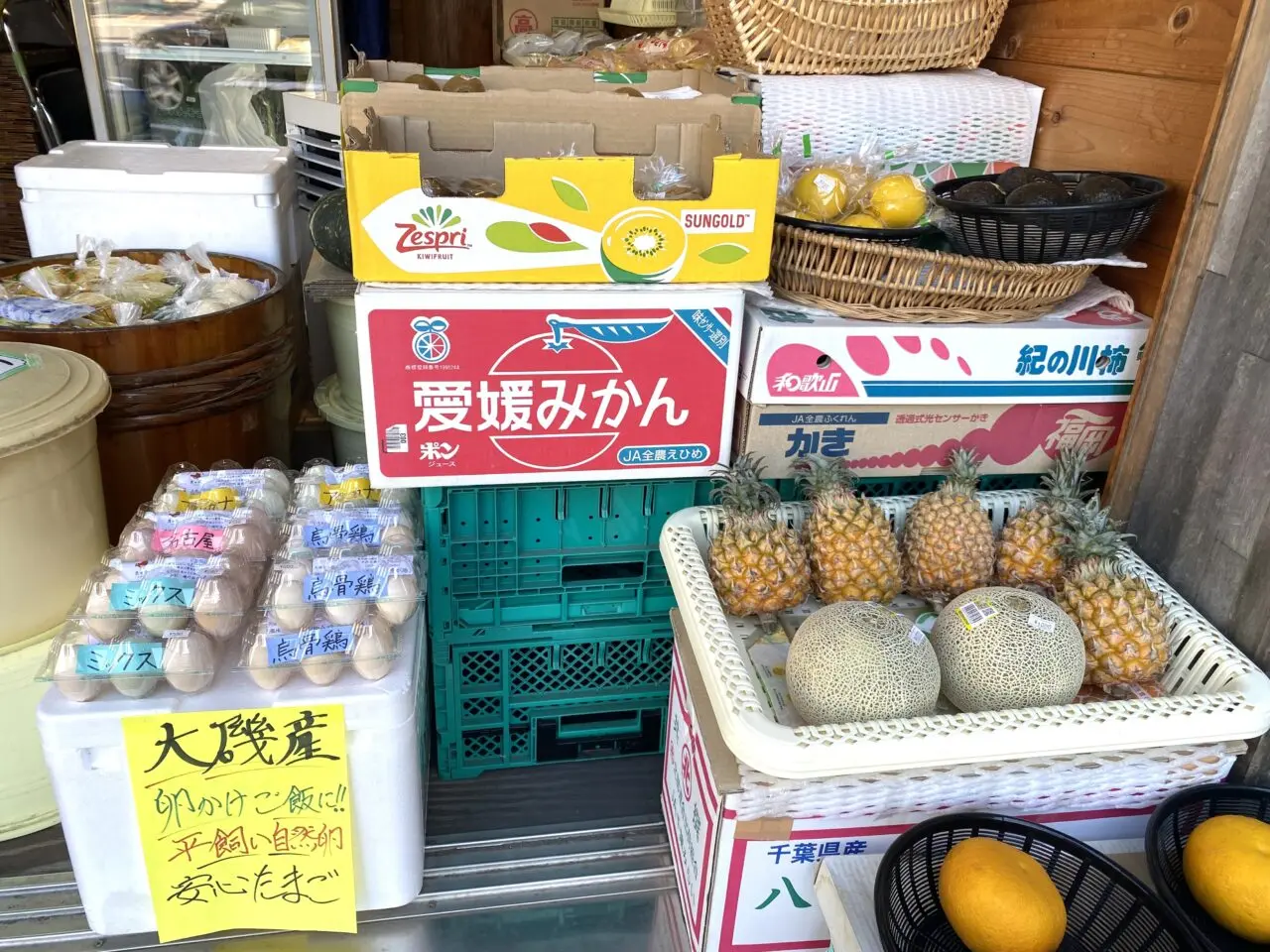 大磯町大磯いろどりや