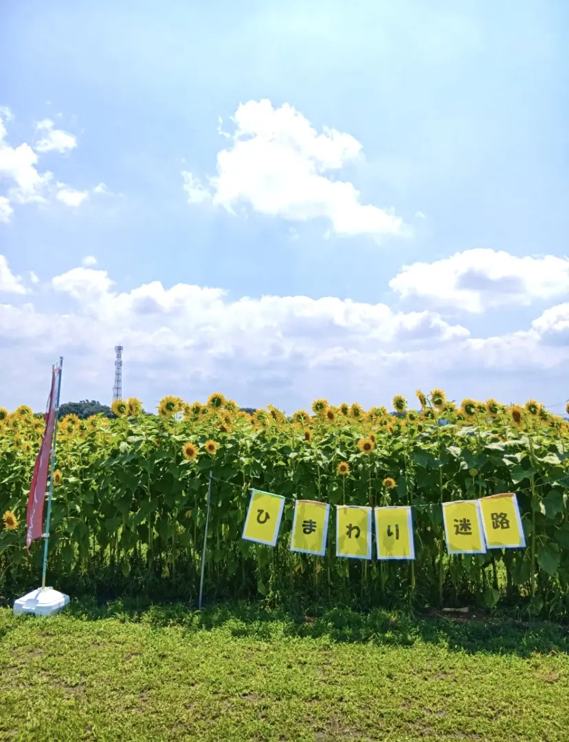 平塚市土屋土屋の直売所