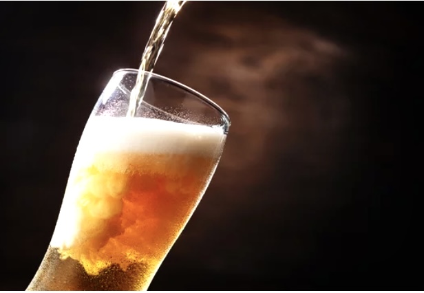 大磯町大磯港芝生エリア OISO BEER PORT