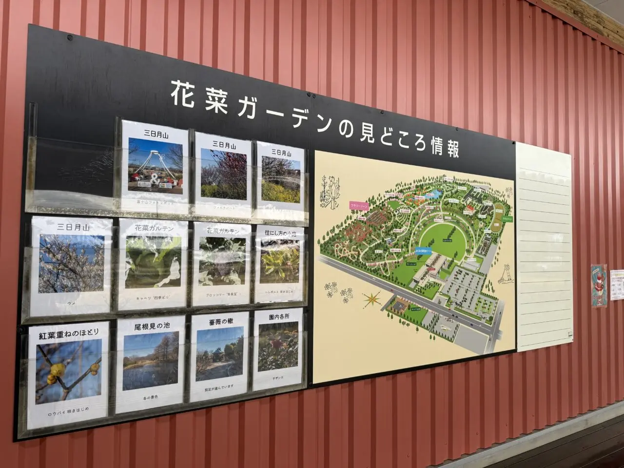 平塚市寺田縄花菜ガーデン